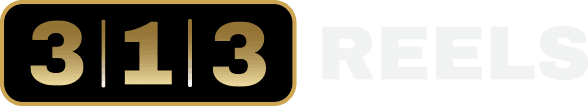 313 REELS